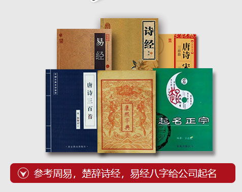 三、 “名称适用性及注意事项”)