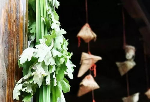 三、 挂艾草仪式的具体规范及其象征内涵