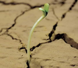 2019年有哪些黄道吉日适合破土动工？