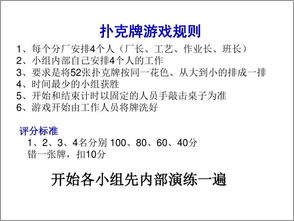 实践能力：从方案制定到全程陪伴
