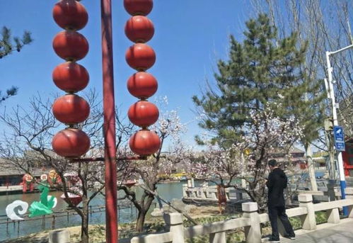 丰南旅游景点攻略大全？别问我，我也不知道！