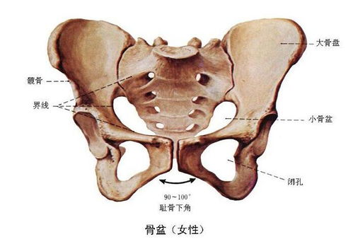 一、 缓慢性病症防控的关键要素