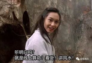 二命理维度:生肖與 