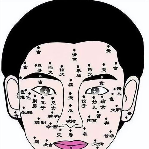 一、 遗传因素：基因传递与家族聚集性