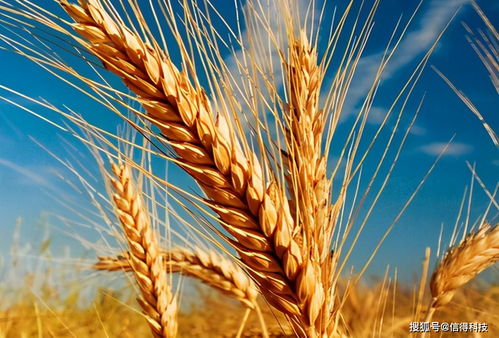 科学打脸时刻：睡眠实验室的惊人发现