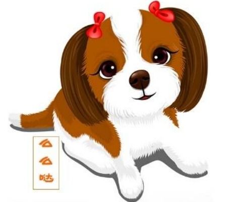 属兔和狗相克相冲的婚姻意味着什么？