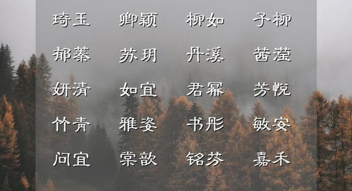 诺字的含义与文化底蕴背景：别往上面挂花帘
