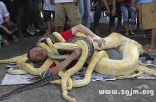 梦见黄色旧棉衣和很多蛇，这究竟预示着什么？