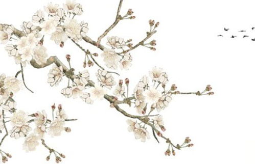 属龙女2026年靠山是谁？2026年感情预测意味着什么？