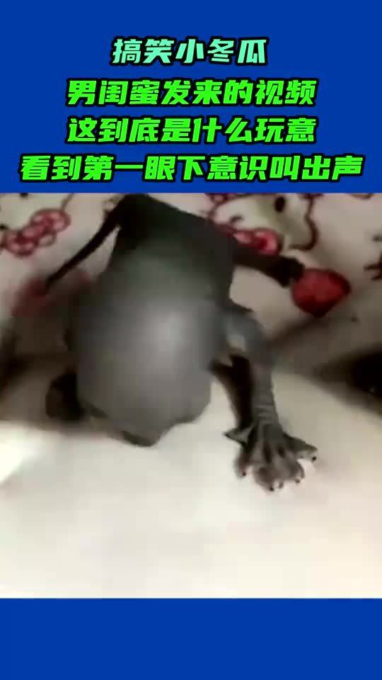 人工制作生产的声音：电子设备和工具