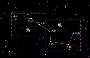 生肖与星象对应的风险预警机制