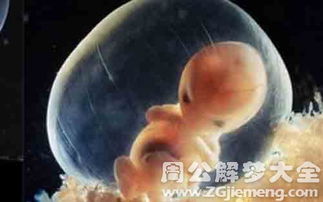 综合解析与反思