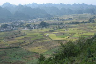 实用信息大全：从交通到住宿， 一次性告诉你所you需要注意的事情