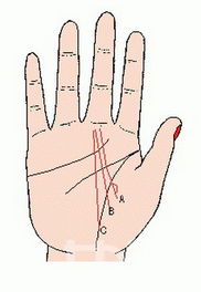 # 被认为适合创业()手相特征概览：