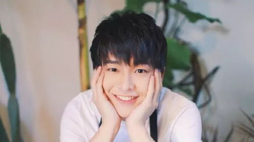 2026年马年出生的向姓男孩，有哪些好名字推荐？