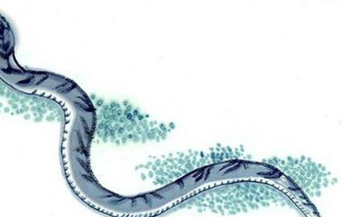 ：择吉结婚之文化意蕴与学术价值