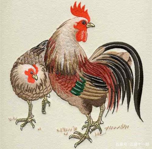 属鸡属兔八字合吗？家里摆放鹰摆件合适吗？