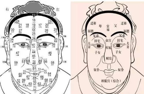 一、三尾低垂：眉毛末端、眸后缘与唇角同步下坠所示人格脉络