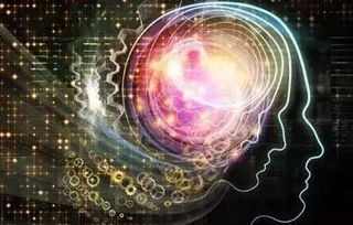 一、 生物热效应：高温环境下的生命边界