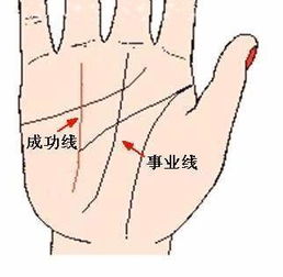 二、 手相中预示事业成功的最主要特征