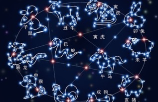 一、 整体趋势与宏观指引