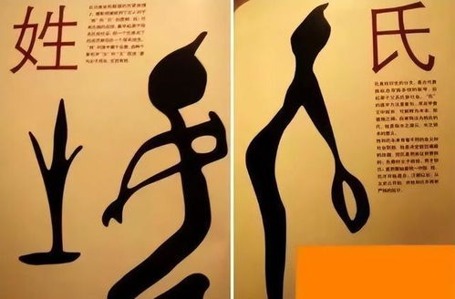 棘手及死两字号起源与人口数量分布解析