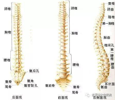 合化之术：五行转化中的健康隐患
