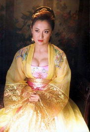 王夫人与段正淳的情感联结及其后裔