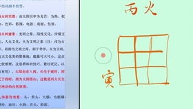 八字命理显示，这个人的八字特征，是否预示着未来从事公安、司法或检察等法律相关职业？