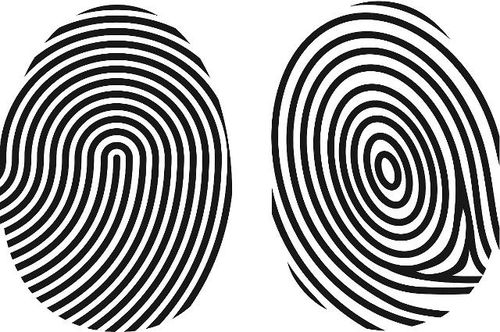 ：大拇指象征意义的多重维度