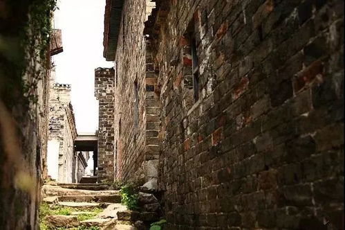 福建的食物是对外地人的谋杀