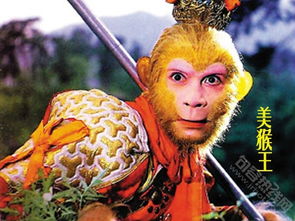 西游记中的十二生肖指的是什么？它们在故事中扮演了怎样的角色？