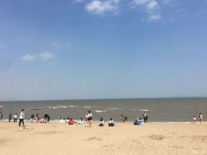 人造沙滩的真实相：漂亮是漂亮， 但别被表象迷惑