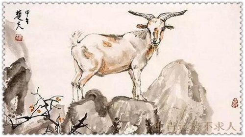 谁能洞察吉凶祸福，主宰命运走向？