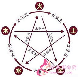 （一） 秉天之风气：敏捷与善变的二元对立