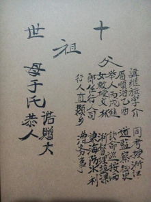 Zhao姓个性的男孩名字较大全