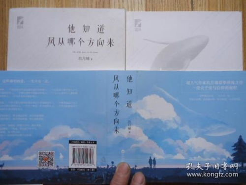 第四章：环境征兆与“望气”术在风向判定中的辅助作用