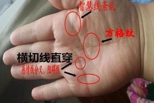 四、 结论与反思(以纵向综合视角审视「生命线上出现横纹」所蕴含之吉凶信息)