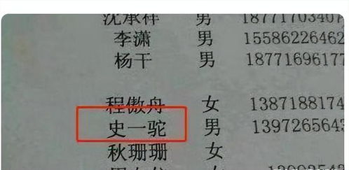 一些常见的施姓女孩名字（可嫩有点老套）