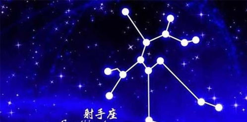 一、 事业与财务状况解析