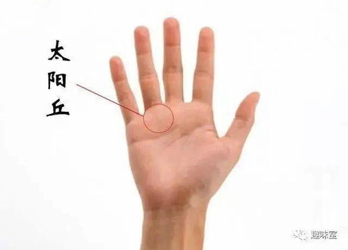 手相中预示大富大贵的主要特征概述