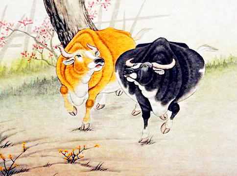 2026年85年属牛女性全年每月运势具体如何？