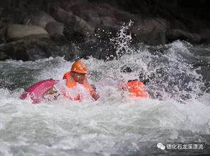 哪个生肖象征水流湍急，谜底有何寓意？