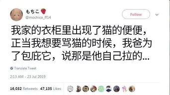 (三 )愛護土壤行者 :四種土方寸之間の細膩區分