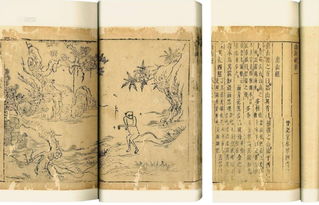 山海经里那些动听的名字， 像糖果一样甜，却藏着怪怪的传说