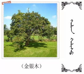 占星术 vs 现代科学?