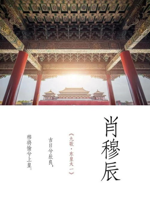 四、 文化底蕴主题衍生：影视娱乐活动元素对命名策略的崭新启示