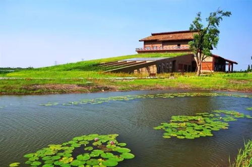钱包告急？市场价格较高阳湿地游的门票困境