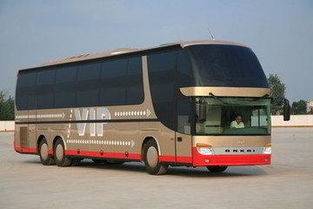 司机：亦正亦邪的“艺术家”