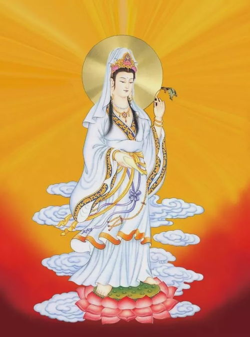 (2) 云霞瑞相与万寿菊之象征联结